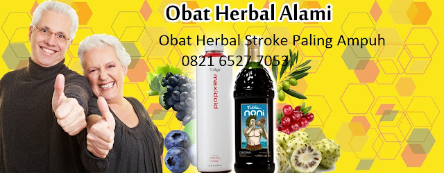 Obat Herbal Untuk Hipertensi dan Stroke 0821 6527 7053 / 0811 202 7577