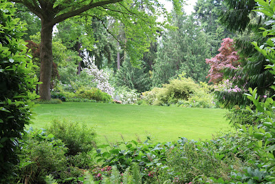 View of the Great Lawn and Magnolia acuminata