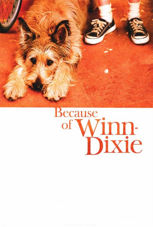 Regarder Winn-Dixie mon meilleur ami 2005 Film Complet En Francais
