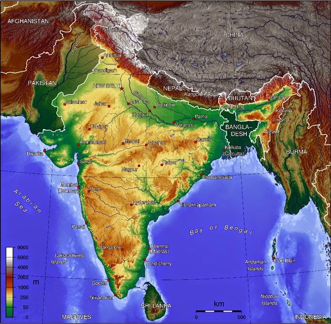 How India is Creating 300,000 Jobs AND Planting 2 Billion More Trees