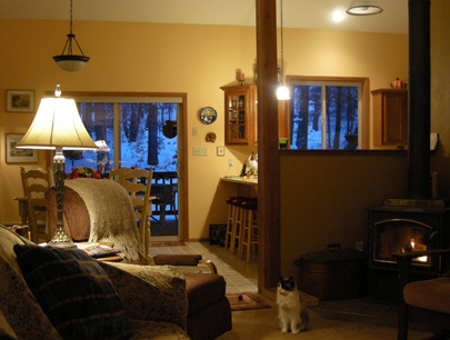 Painting the Living Room (14)