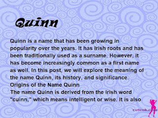 meaning of the name "Quinn"