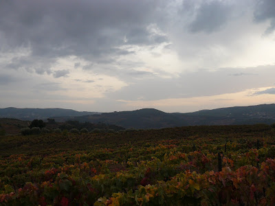 Sanfins do Douro, Alijó