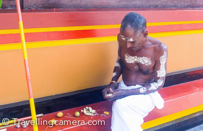 While Theyyams were getting ready, priests had their own duties to prepare worship material. Apart from coconuts, many other natural things are collected and put together for final worship rituals. Above photograph shows a priest taking out the Areca nuts from their shells. The photograph above also shows fresh Areca nuts.