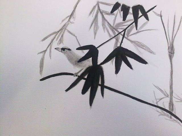 dibujar aves con tinta china
