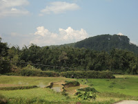 Pemandangan di sekitar Pondok Kopi Kawa