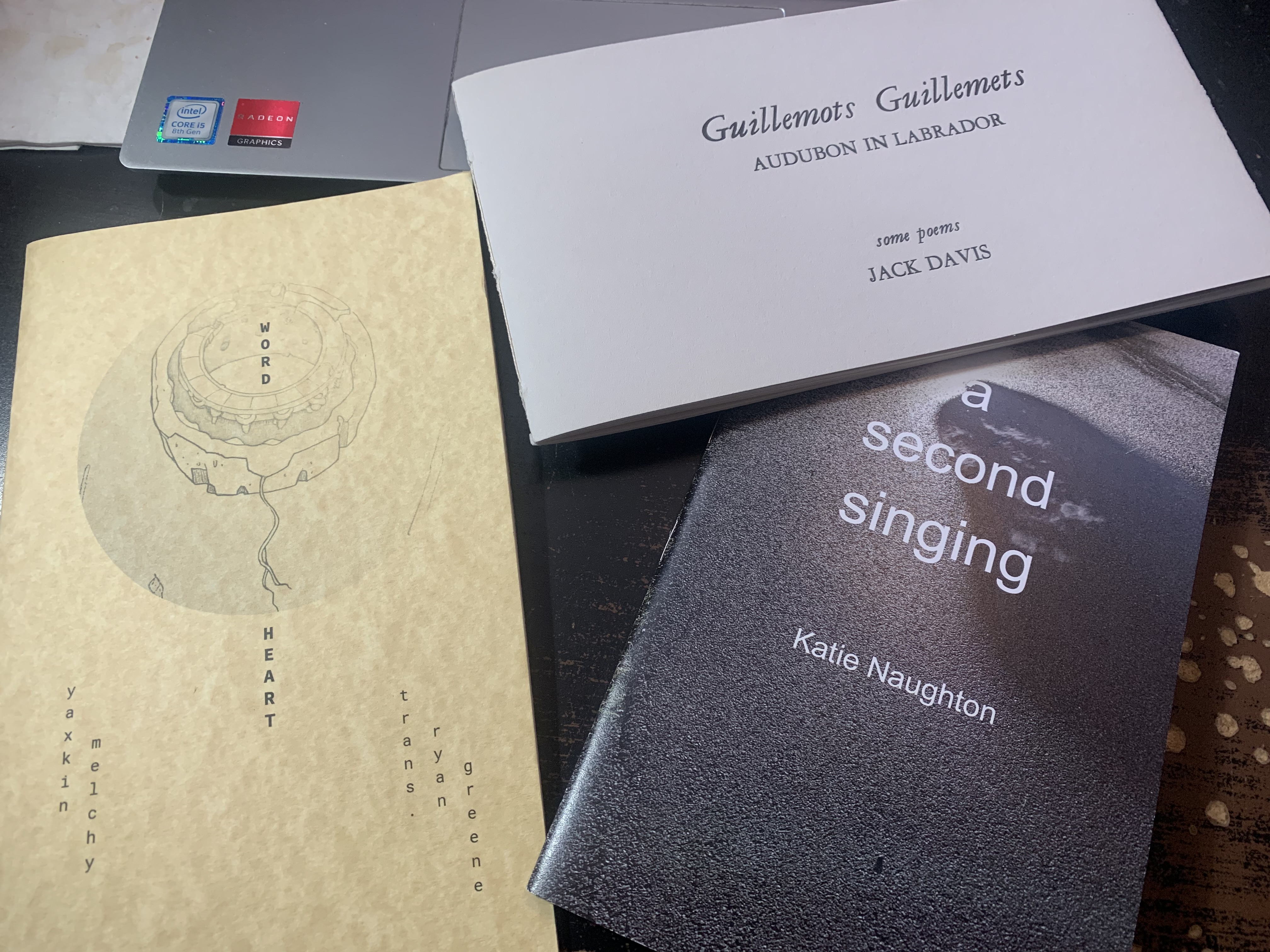 rob mclennan's blog: two new broadsides of mine, published by Ottawa's Coven  Editions!