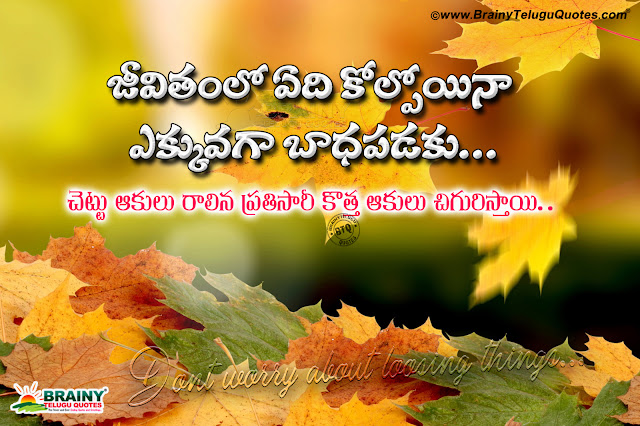 Best Famous Telugu Inspirational Life Success Quotes Self