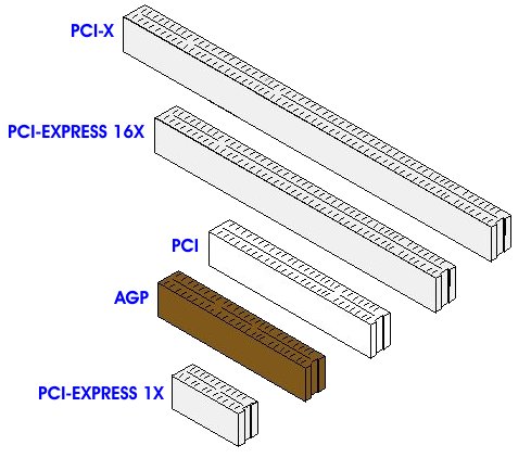 PCI Express Card Slot