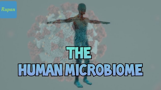 The Human Microbiome