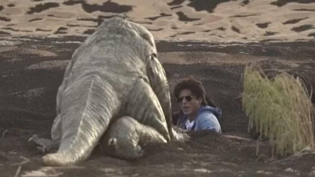 shah rukh khan comodo dubai prank