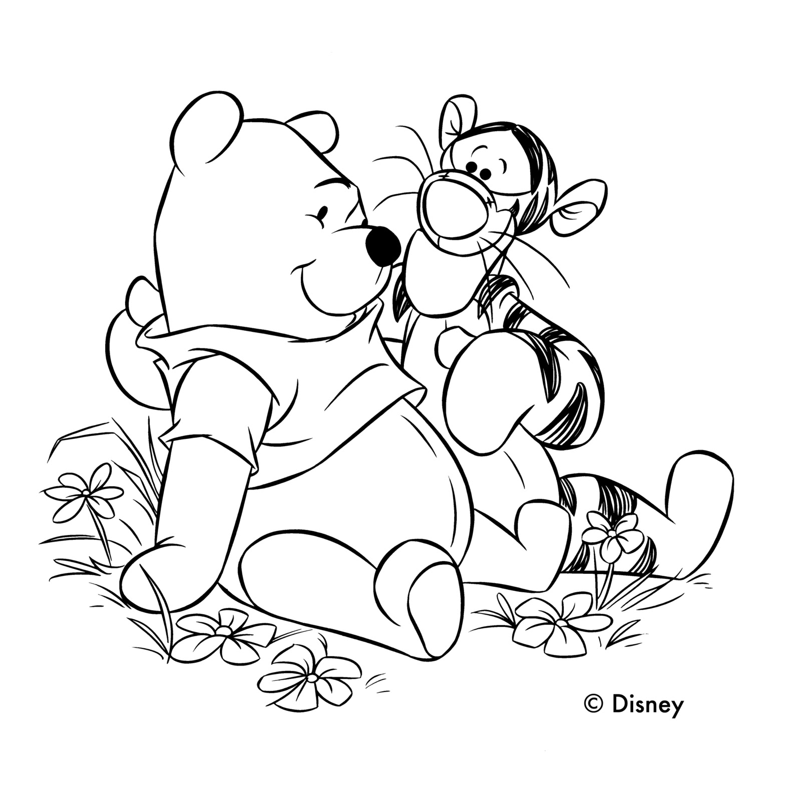 Carey Art: Winnie The Pooh