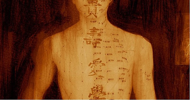 The Chinese Medicine Meridian System