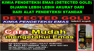 ALAT PENDETEKSI EMAS MURAH