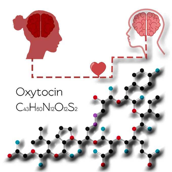 Oxytocin: Love of Happiness and Trust