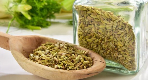Benefits and Side Effects of Fennel for Breastfeeding Mothers