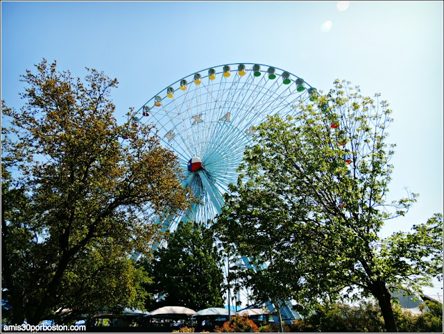 Texas Star Ferris Wheel