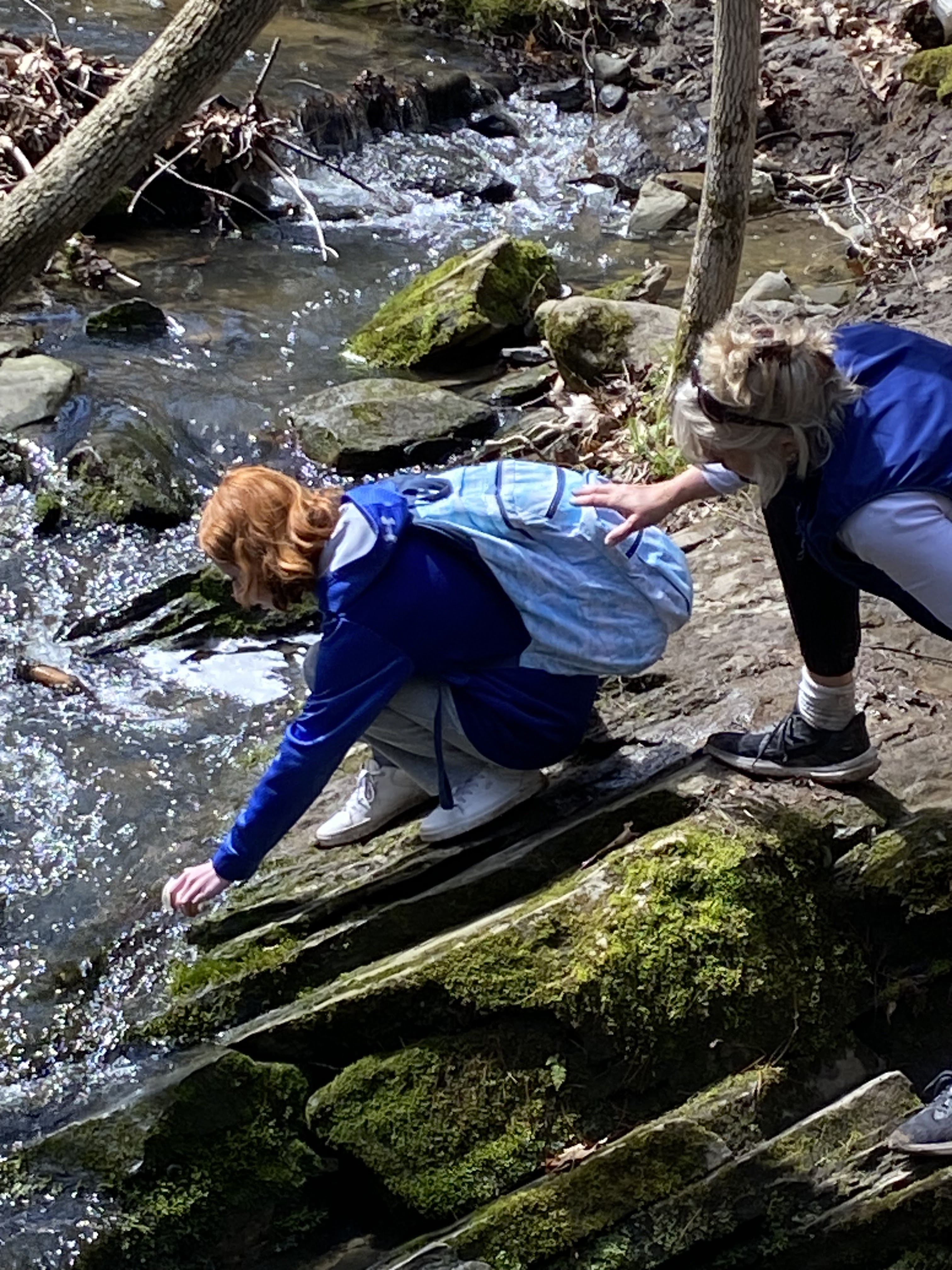 The Windham Eagle News: Area students care for trout eggs during winter