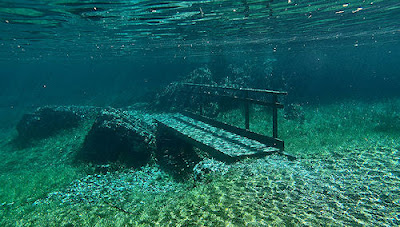 A Bench inside Green Lake Austria