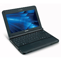 Toshiba Mini Notebook NB255-N240