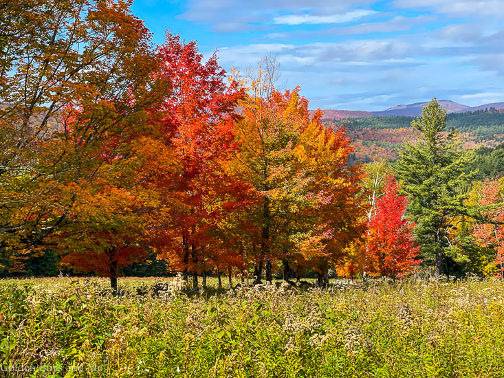 Fall foliage in the Adirondacks - www.goldenboysandme.com