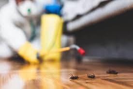 Non-Toxic Pest Control in Wilton