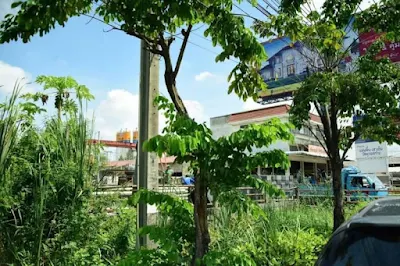 ที่ดิน ทับช้าง มุมมองที่ 5 แสดงการเข้าถึงแปลงที่ดิน