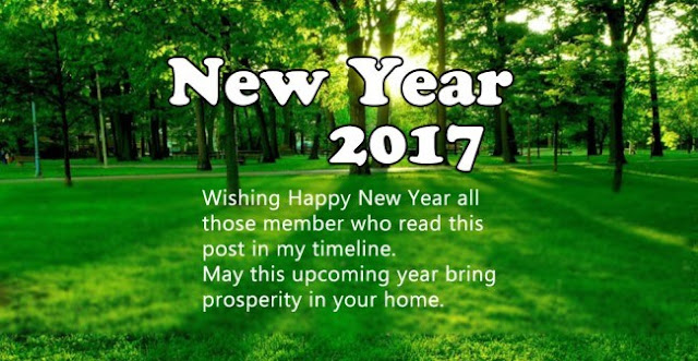 Happy New Year 2017 Images