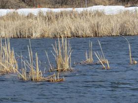 Pentwater Lake