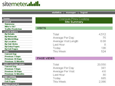 Sitemeter Summary Report