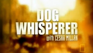 Watch Dog Whisperer