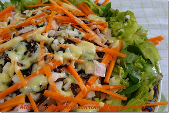 Salada-de-Arroz-Integral-com-Peito-de-Peru-02