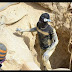 Burkina Faso: Four of eight miners trapped underground for 39 days found dead