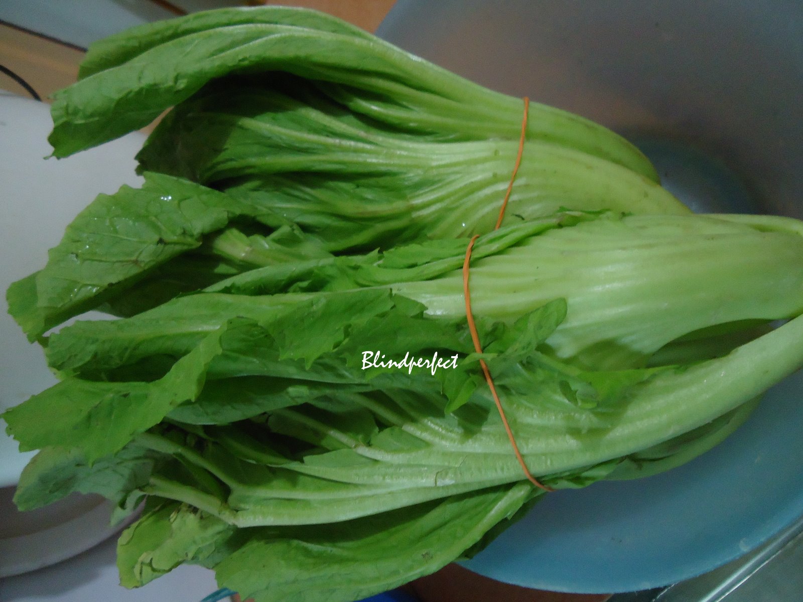 blindperfect 369 Kai Choy blindperfect 369 Kai Choy