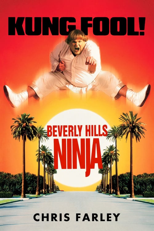 Download Beverly Hills Ninja 1997 Full Movie With English Subtitles