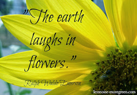 The Earth Laughs in Flowers