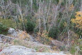 northern Minnesota hillside