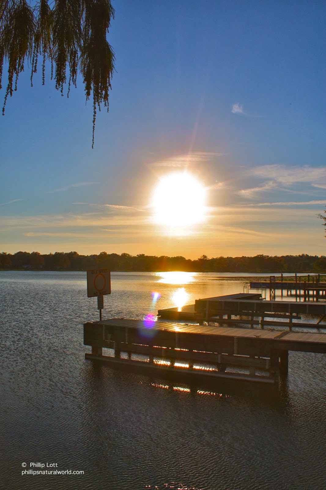 Florida Lakes - Phillip's Natural World