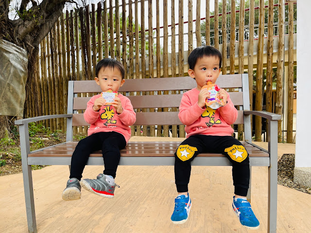 水果汁、小孩、小孩飲料、小孩果汁、幼兒食品、幼兒果汁、幼兒飲品推薦、果汁、蔬菜 果汁、蔬果汁、百分百果汁、100%果汁、草莓果汁、胡蘿蔔汁、新竹美食、十全特好、 十全果醋 、iOiO、一比呀呀、禮盒推薦