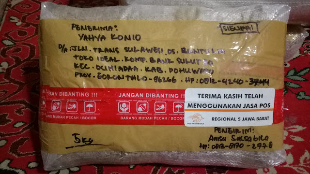 Testimoni Pengiriman Benih Padi SIGUPAI - 85 HST @5kg ke Gorontalo