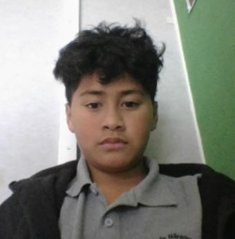 Profile Picture - He Whakaahua Matawhaiaro