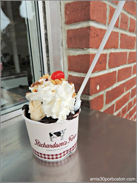 Granja de Helados Richardson´s Farm: Sundae de Brownie