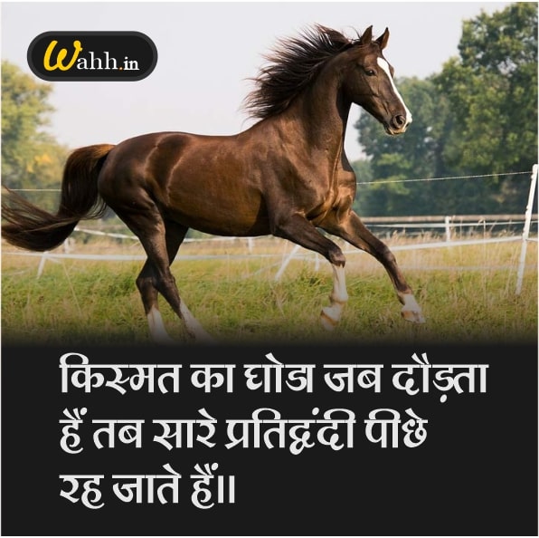 Motivational Horse Quotes images In Hindi