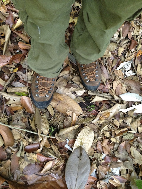 La Sportiva Pamir Gore-tex lining, Bukit Timah Nature Reserve