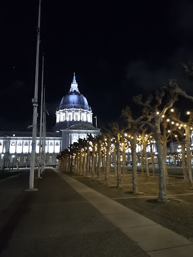 Photo taken at night. A row of flagpoles, a row of trees, SF City Hall lit up brightly at night.