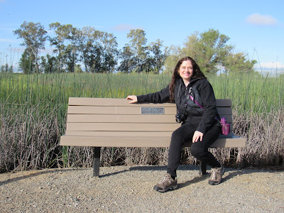 Sacramento National Wildlife Refuge Wetland Walk trail rachelle vaughn the road again northern california travel adventures birding