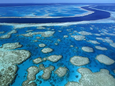 https://blogger.googleusercontent.com/img/b/R29vZ2xl/AVvXsEhoqhGVv1AOFhPfR24NzIzktLulx3MdsOOeyEfM85tUcsv4qt04cutczNTJCAXzS6foEI9Xo9pUwc89xLrGE4RxplZtceLTaEWQdSX2o4pxMEMqODV-l8Uz-qkWypxZmyJ57Ud08_oy_n2s/s1600/Great+Barrier+Reef2.jpg