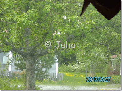 PICT1216