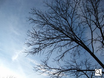 Canon PowerShot E1