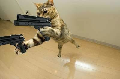 The Action Cat with Guns